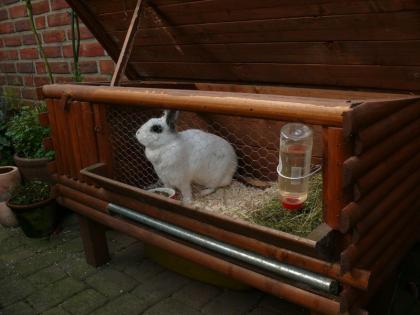Suche ein neues zuhause inkl Stall