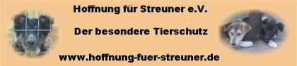 Futter Sachspenden gesucht