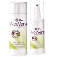 Das Sommer-Angebot Multitalent Aloe Vera