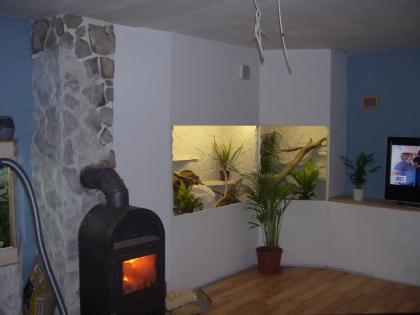 Neue Terrarien zu einem unglaublich günstigen Preis