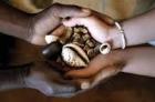 True Spell Casting Services Top Spell Casters 27717045485