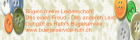Ruth s Bügelservice