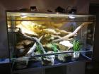 Terrarium 150x70x90 inkl. Schrank Rückwand Beleuchtung
